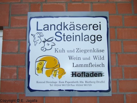 Foto_ 031.jpg